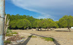 Guang-guang Mangrove Park And Nursery