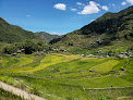 Rice Terraces Of The Philippine Cordilleras CoWorking Spaces
